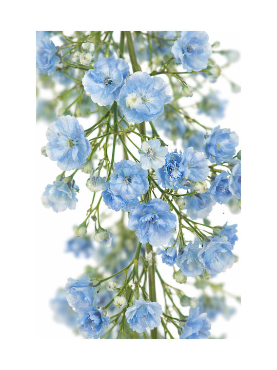 Ghirlandă Cu Flori Albastre De Gypsophila 0x0x180cm Monocrom Evergreens