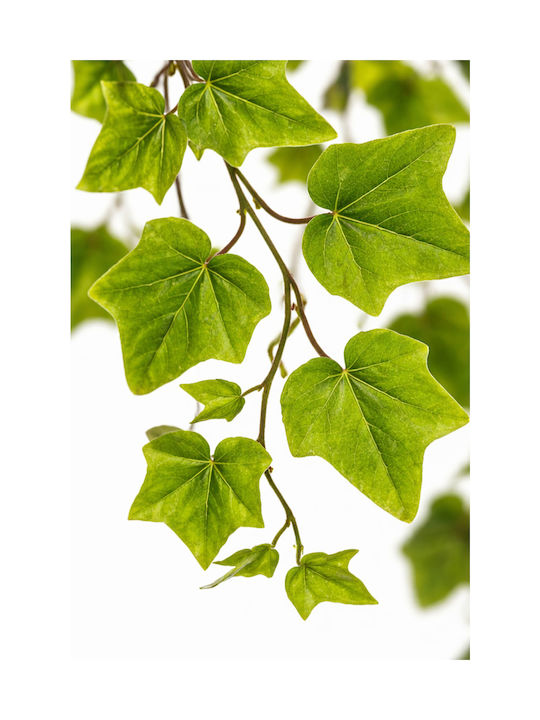 Ivy Garland 0x0x180cm Monochrome Evergreens