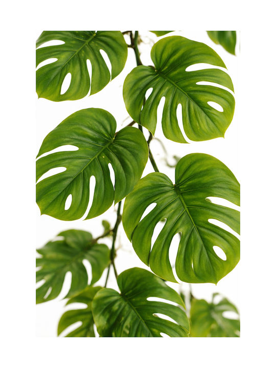 Monstera Girlande 0x0x180cm Einfarbig Evergreens