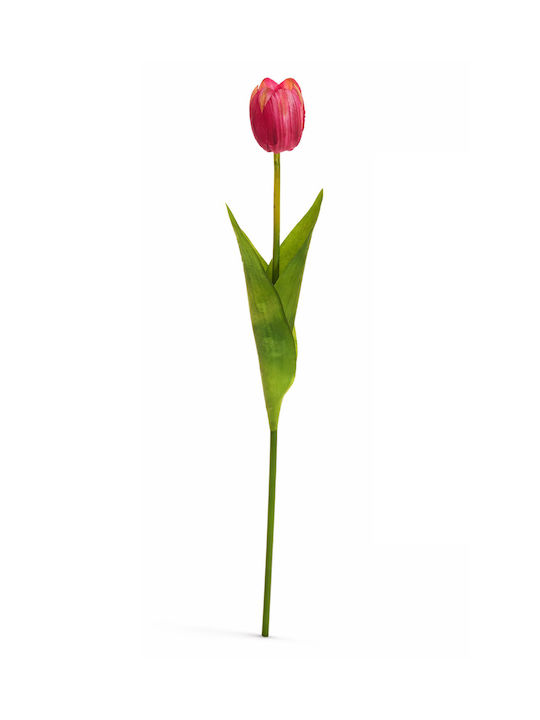 Tulip Fuchsia 54cm 0x0x54cm Monochrome Evergreens