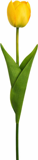 Τουλιπα Κιτρινη 54cm 0x0x54cm Μονόχρωμο Evergreens