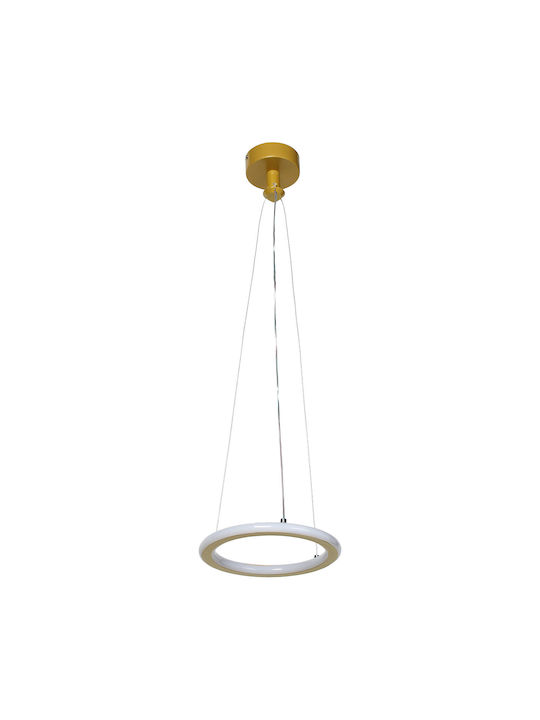 Keskor Pendant Light Gold 21x21x80cm