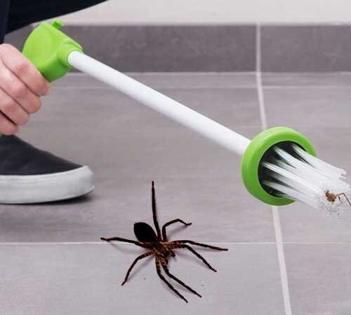 Swissinno Spider Trap