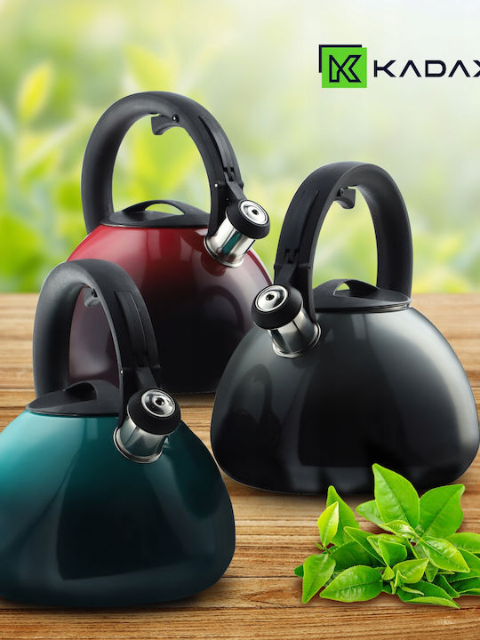 Kadax Βραστήρας Ανοξείδωτος Γκρι 2600ml