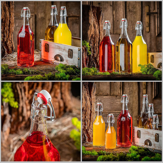 Kadax Glass Water Bottle With Transparent Clip 1000ml 5 Pieces