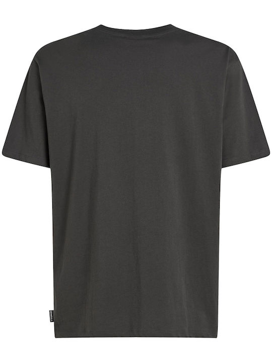 Cali T-shirt Gry 2850374-18021
