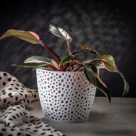 Kadax Plastic Pink Flower Pot 11x11cm