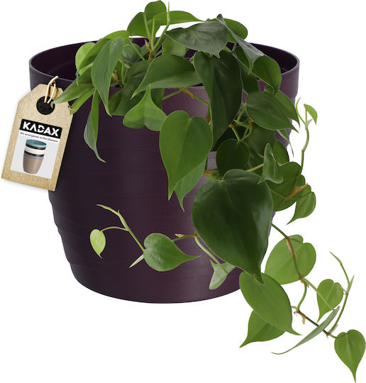 Kadax Ghiveci De Flori Din Plastic Violet 13x13 Cm