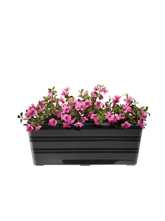 Kadax Γλάστρα Πλαστική Γκρι 40εκ.