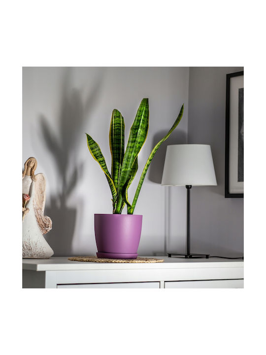Kadax Γλάστρα Πλαστική Purple Matte με Πιάτο 18x16x14.5εκ.