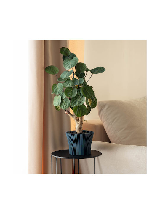 Kadax Plastic Flower Pot Navy Blue 11cm