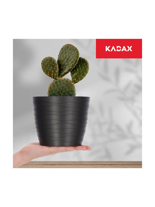 Kadax Kadax Kunststoff Pflanzgefäß Schwarz 15x15cm