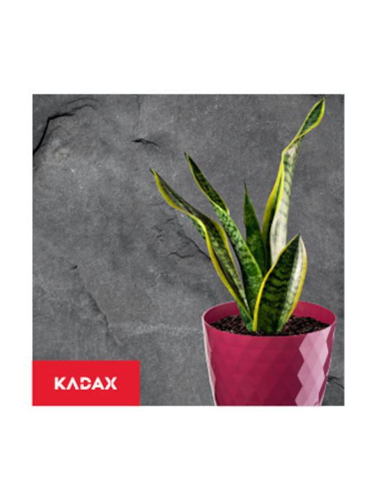 Kadax Σετ 3 Γλάστρες Πλαστικές Kadax Σετ 3 Γλάστρες Πλαστικές