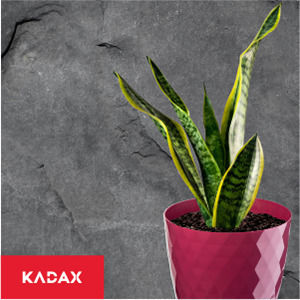 Kadax Σετ 3 Γλάστρες Πλαστικές