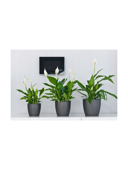 Kadax Plastic Flower Pot Graphite with Saucer 30x28cm