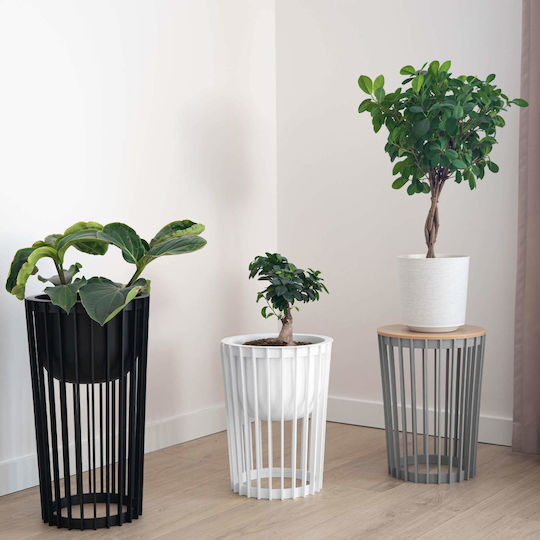 Kadax Plastic Black Flower Pot