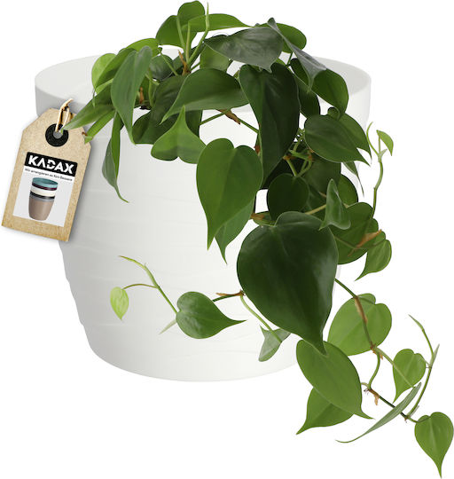 Kadax Γλάστρα Πλαστική White 11x11εκ.
