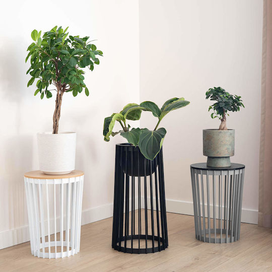 Kadax Plastic Black Flower Pot