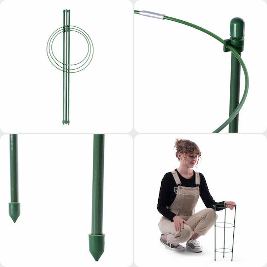 Ring Support Plants Flowers 45cm Metal Stakes Rings 6pcs