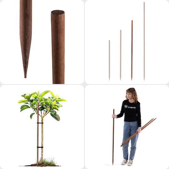 Impregnated Wooden Stake 120 Cm Tree Plant Support Rod Ø 23 Mm