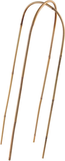 Bambus Ringstütze Für Pflanzen 75 X 15 Cm 1 Stück