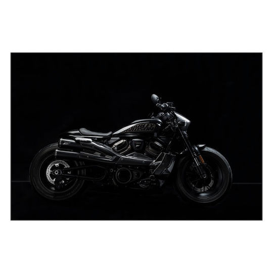 Zard Kit Radiator Cover Side Panels Motorcycle Harley Davidson 21 26 Rh1250s Sportster S Carbon