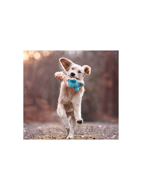Max & Molly Cuddly Dog Toy with Sound 26cm Light Blue 1 Piece