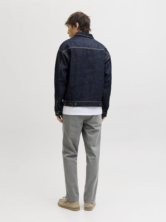 Chino Trousers in Regular Fit Gray