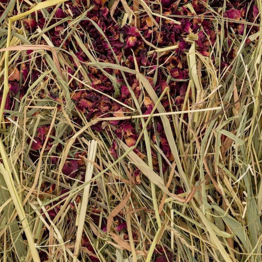 Vitapol Vita Kräuterheu Gras Rosenblätter 800g