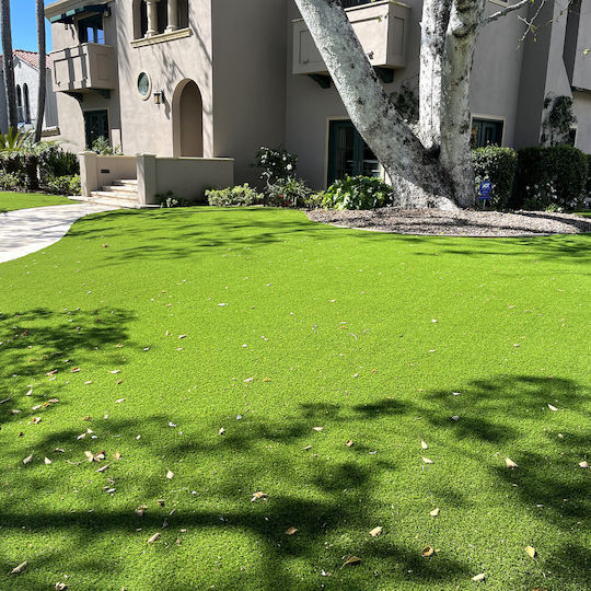 Synthetic Lawn in Roll 1x4m and Pile Height 8mm