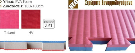 AMILA Podele Puzzle de Gimnastică Pe Două Fețe Roșu/Albastru 100x100x2.5cm 1buc
