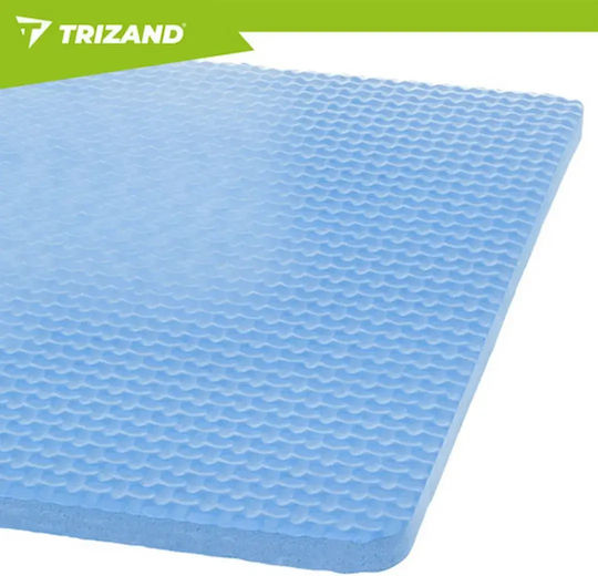 Trizand Ρόδα Κοιλιακών Μαύρη με Αντιολισθητικές Λαβές και Στρωματάκι για τα Γόνατα