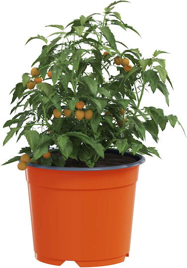 vidaXL Keramik Blumentopf Orange 15x15x12,5cm
