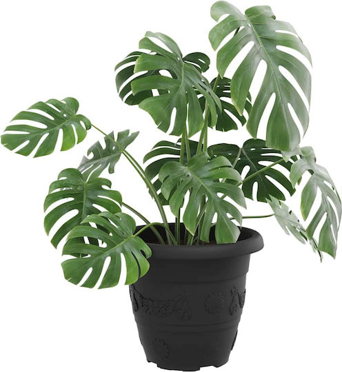 vidaXL Set of 6 Plastic Flower Pots Black 26x21.5cm