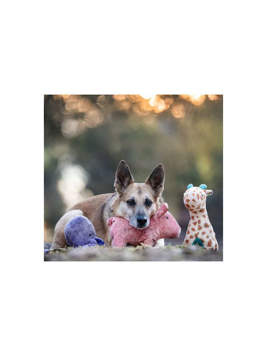 Max & Molly Cuddly Dog Toy with Sound 25cm Pink 1 Piece