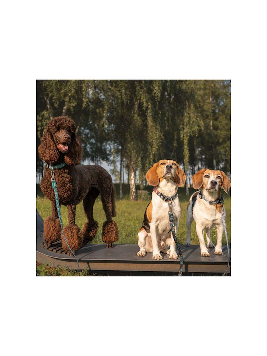 Max Molly Smart Id Κολάρο Σκύλου – Kindergarten Small 1.5cm X 28-45cm Max Molly Smart Id Κολάρο Σκύλου – Kindergarten Small 1.5cm X 28-45cm
