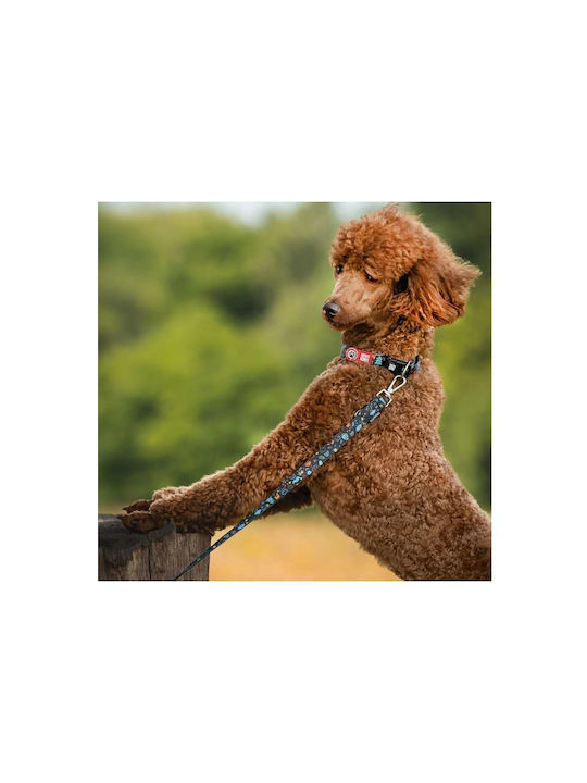 Max Molly Smart Id Dog Collar – Kindergarten Small 1.5cm X 28-45cm