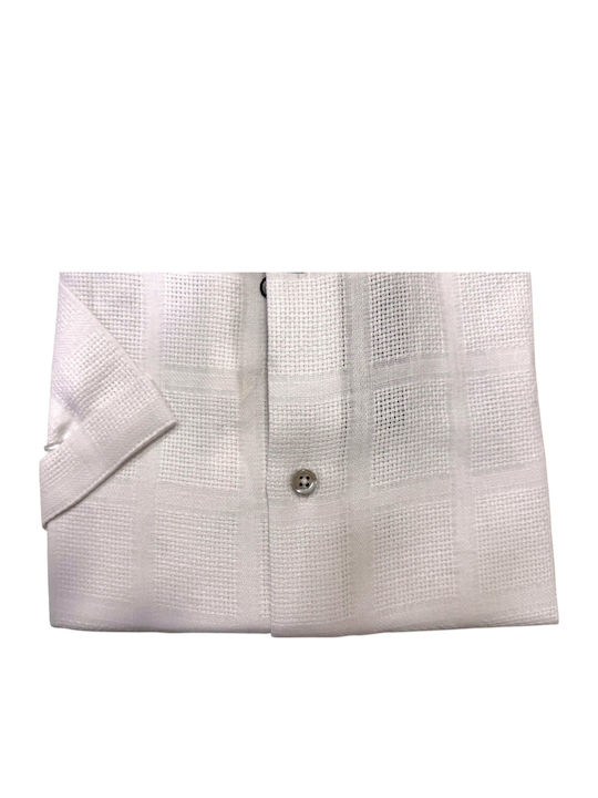 Short Sleeve White Shirt