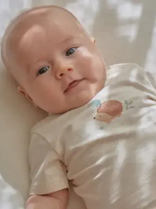 Little Dutch