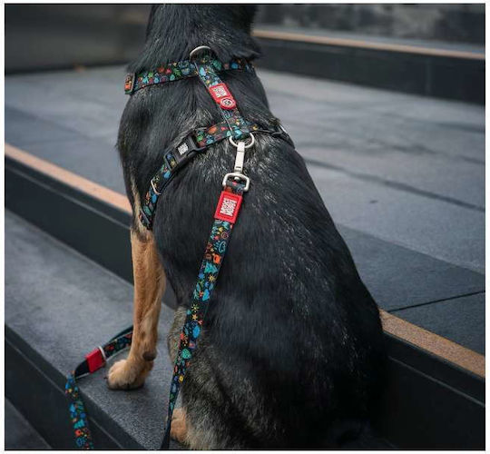 Max & Molly Dog Leash/Lead Strap in Black Colour