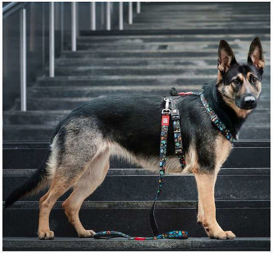 Max & Molly Dog Leash/Lead Strap in Black Colour