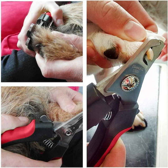 Pet Nail Scissors Red Color