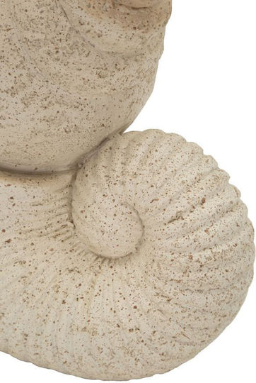 Polyester Seashell Ecru Color 17.2 X 30.2 X 10 Cm