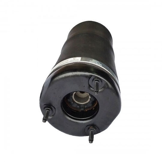 Luftfederung Kissen Vorne Links Rechts Mercedes R-Klasse W251 V251 A2513203013