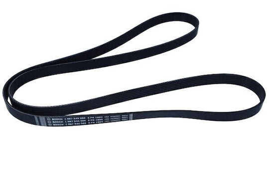 Curea Polifonică 6pk1805