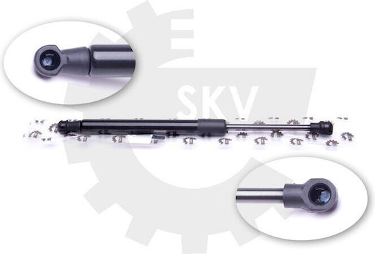 Амортисьор На Задната Врата На Прозореца Citroen C5 I Ii 8731f7 8731.f7