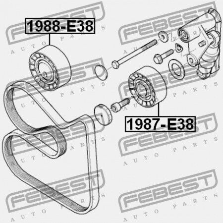 Febest Motorriemen Für Bmw X5 E53 1999-2006 Ece 11287841228