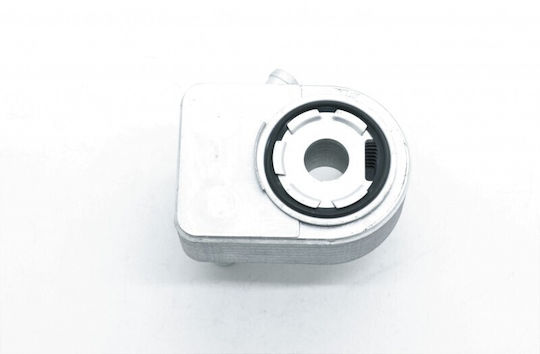 Dr. Motor Car Engine Oil Radiator for Ford Fiesta