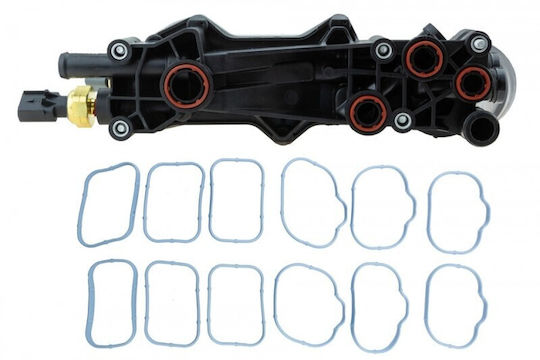 Oil Cooler Filter for Car Engine 2.0d X1 F48 16-19 X2 F39 17-19 1 F40 18-19 2 F45/f46 17-19 Mini F55/f56 16-19 Clubman F54