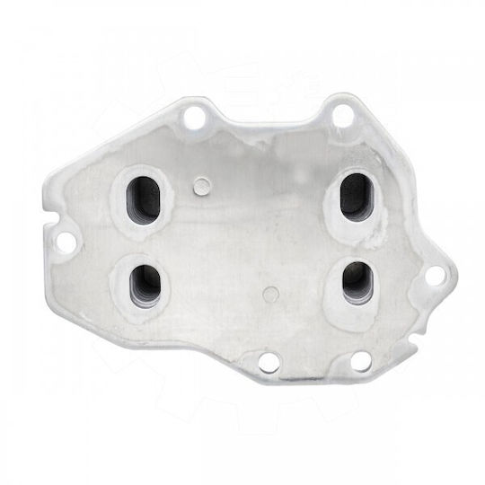 Radiator Cu Ulei BMW 3 5 6 7 X3 X4 Z4 11428580414